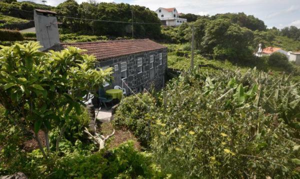Hotel Adega do Gato Calhau Esterno foto