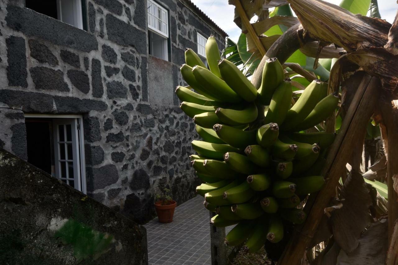Hotel Adega do Gato Calhau Esterno foto
